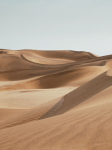 Home desserts 02 225x300.jpg