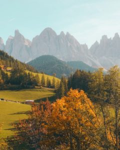 Home portfolio 01 240x300.jpg