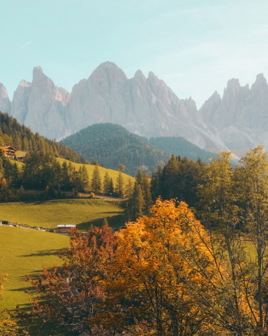 Home portfolio 01.jpg